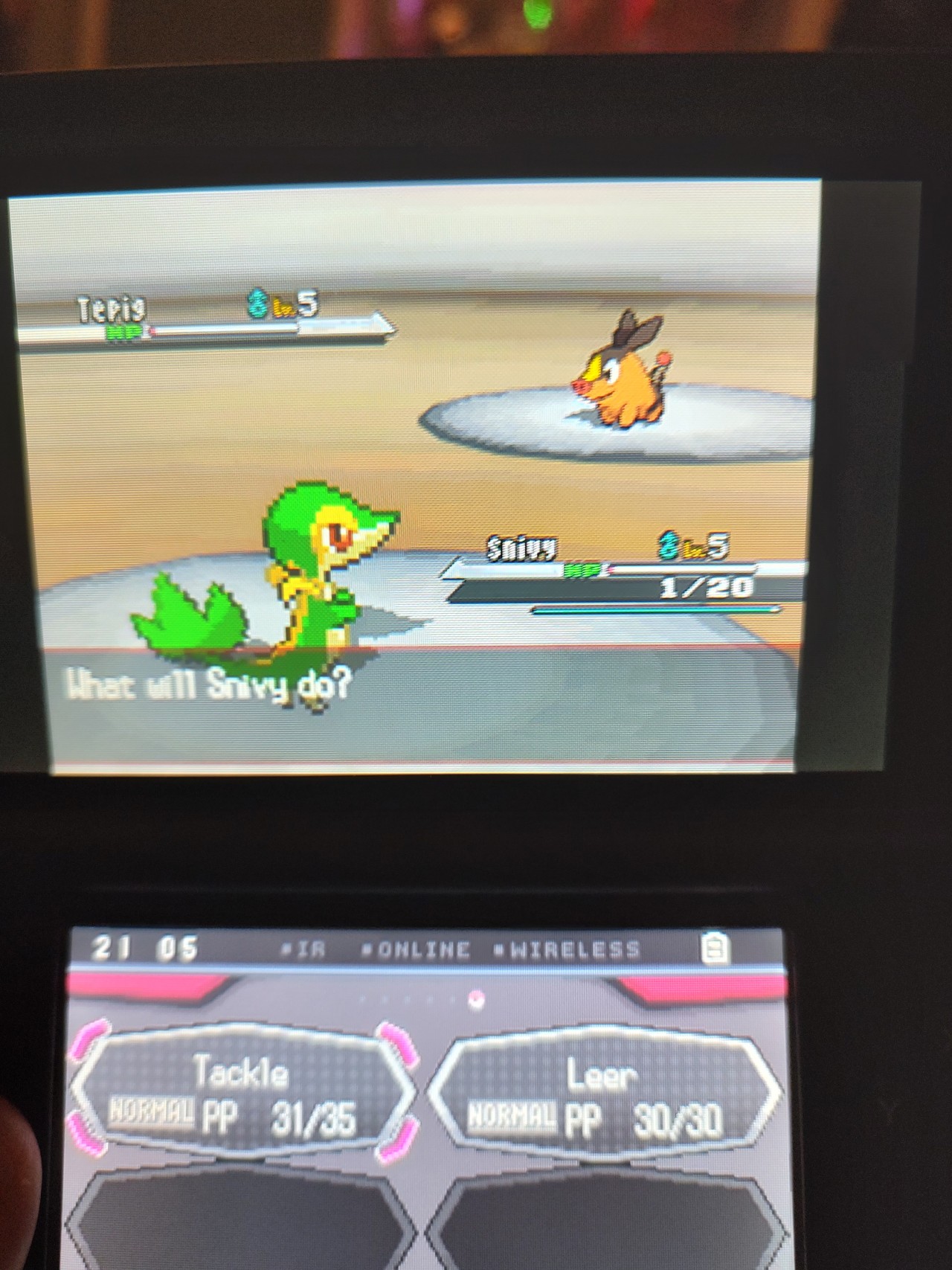 A Pokémon battle between a player Snivy, and a rival Tepig. They are both at 1 HP.